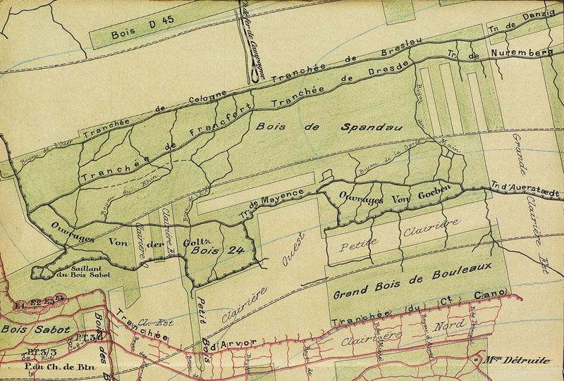 1915 Champagne bois bouleaux