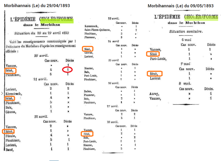 1893 04 bilan cholera sene