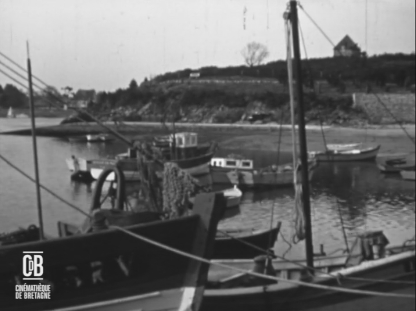 1964 Port Anna déchargement huitres 8