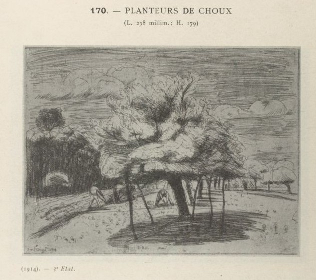 1914 Frelaut planteur choux