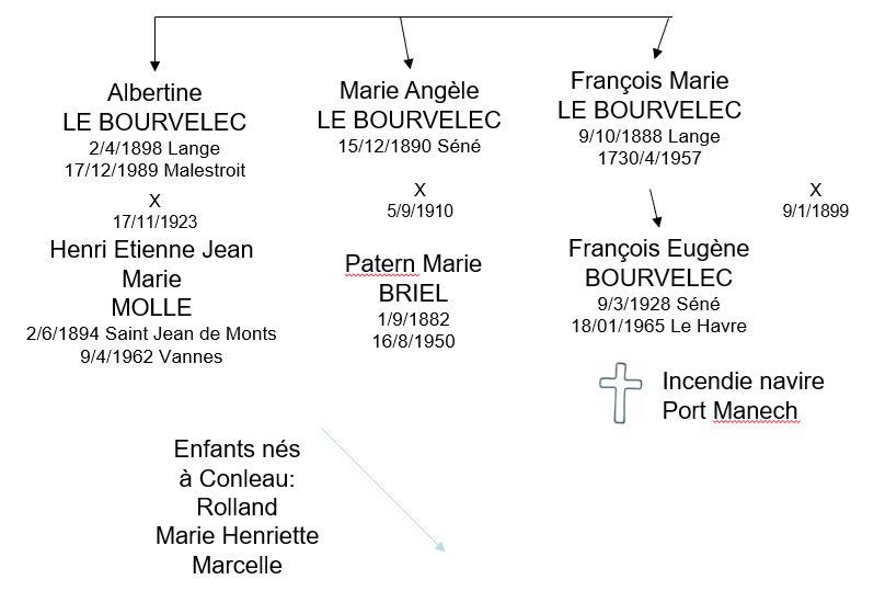 Molle Le Bourvelec