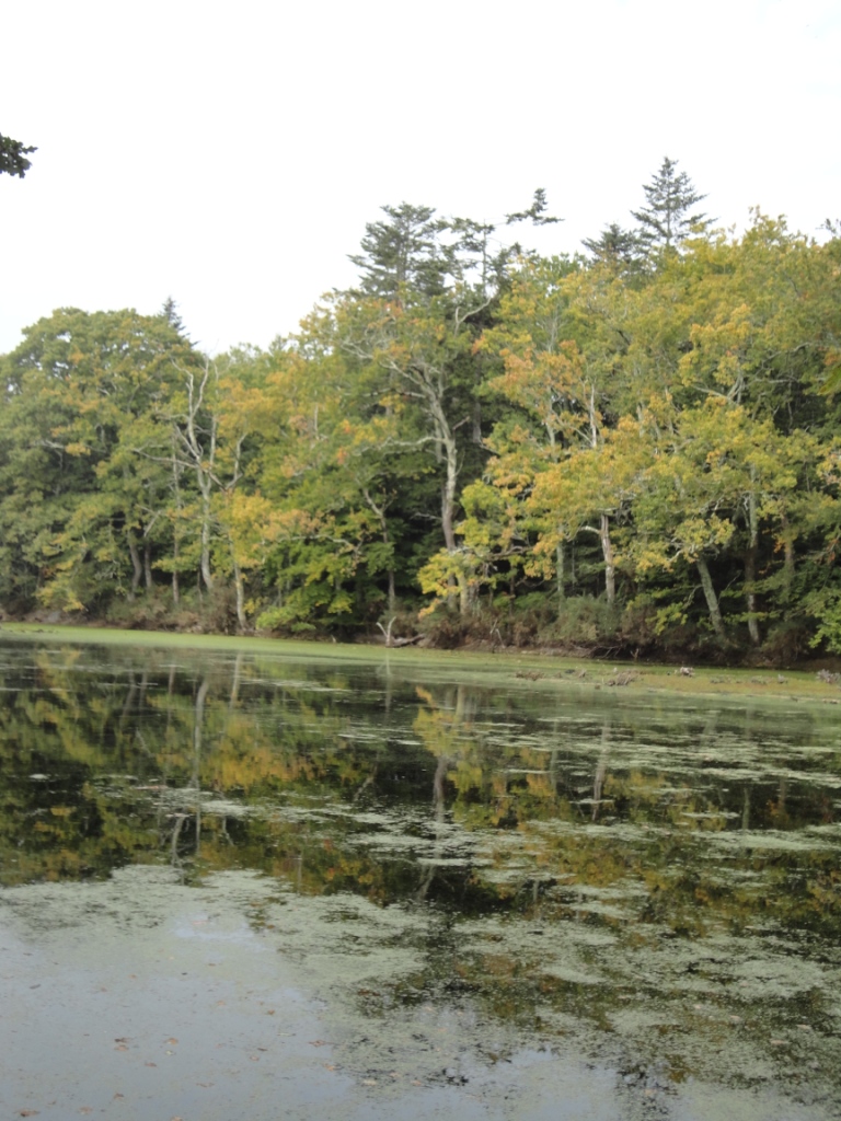 Lestrénic Etang