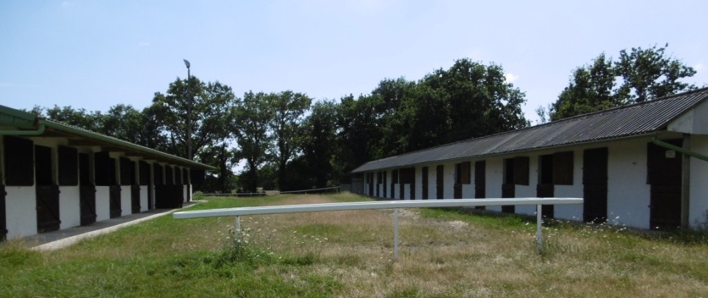 2000 Hippodrome paddock